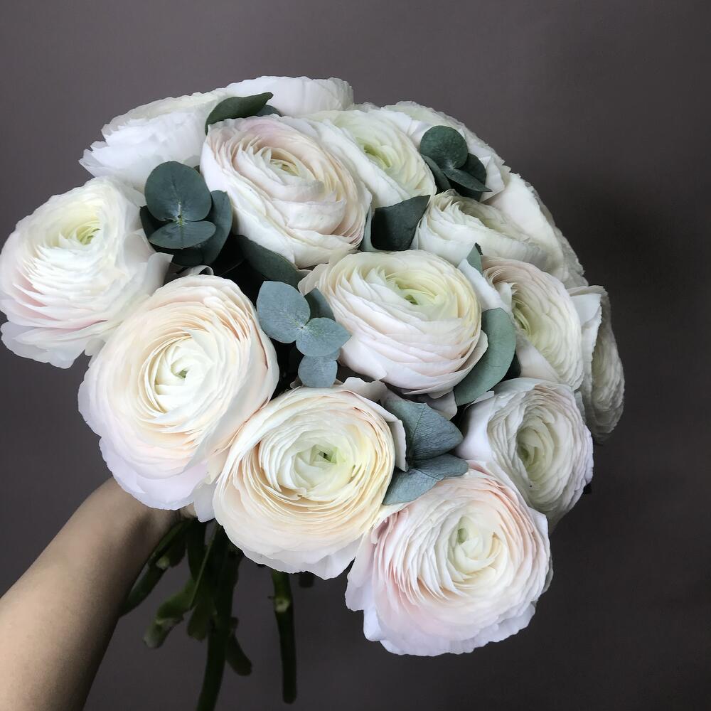 Ранункулюс 15 шт