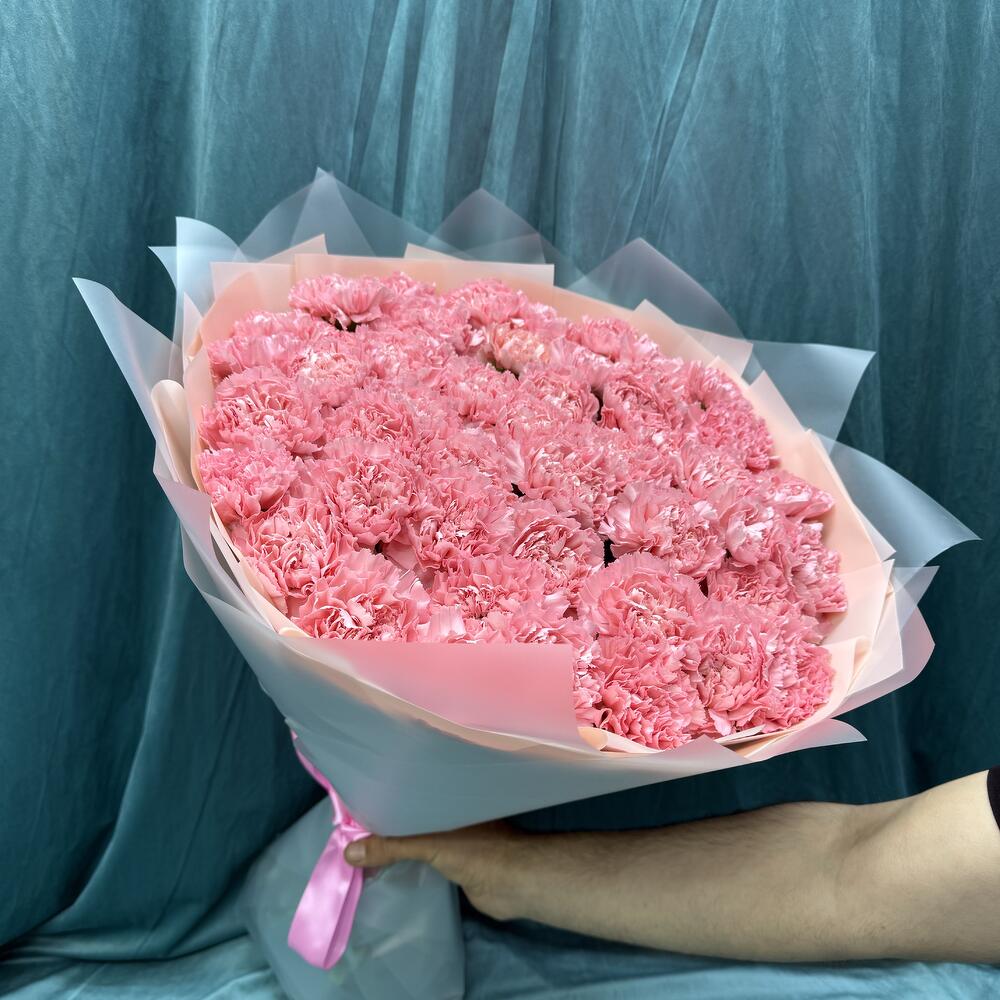 Нежные диантусы