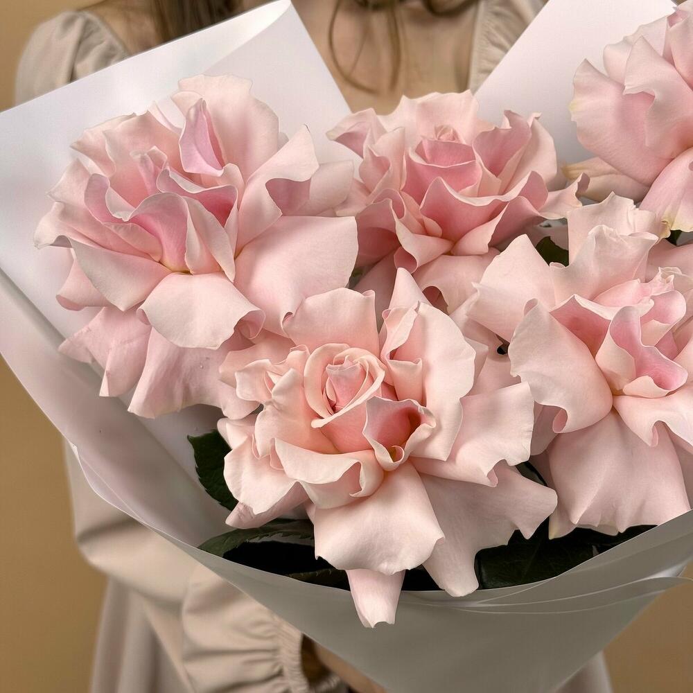 Букет из французских роз Pink Mondial