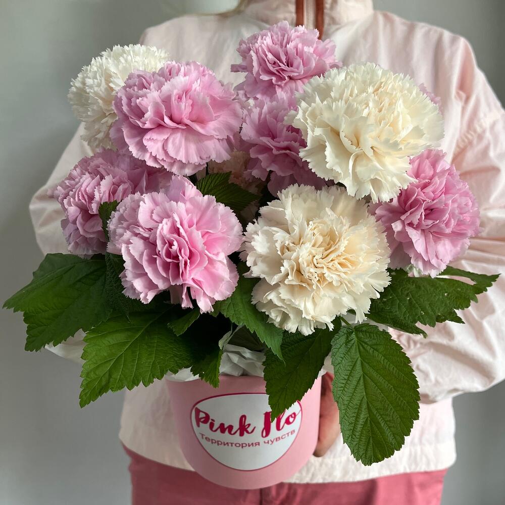 Самые нежные и ароматные диантусы стойкие с малиной 🌸
