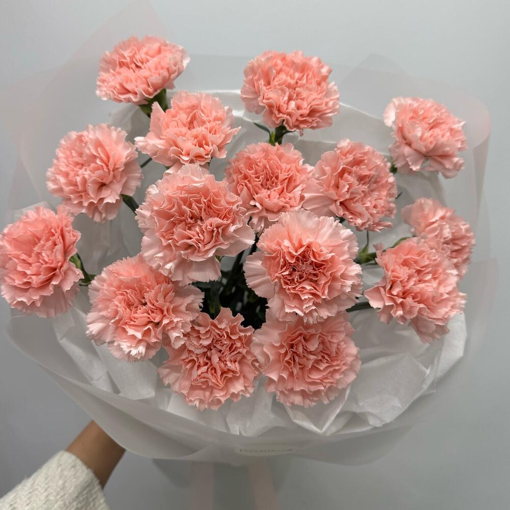 Букет из розовых диантусов (гвоздик)