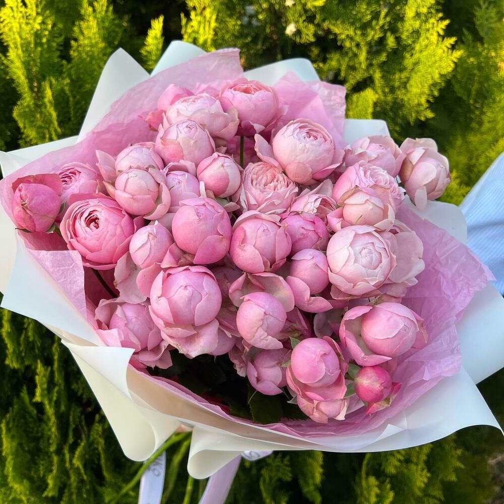 Хит🔥Букет из 11 веток премиальной кустовой пион розы silva pink