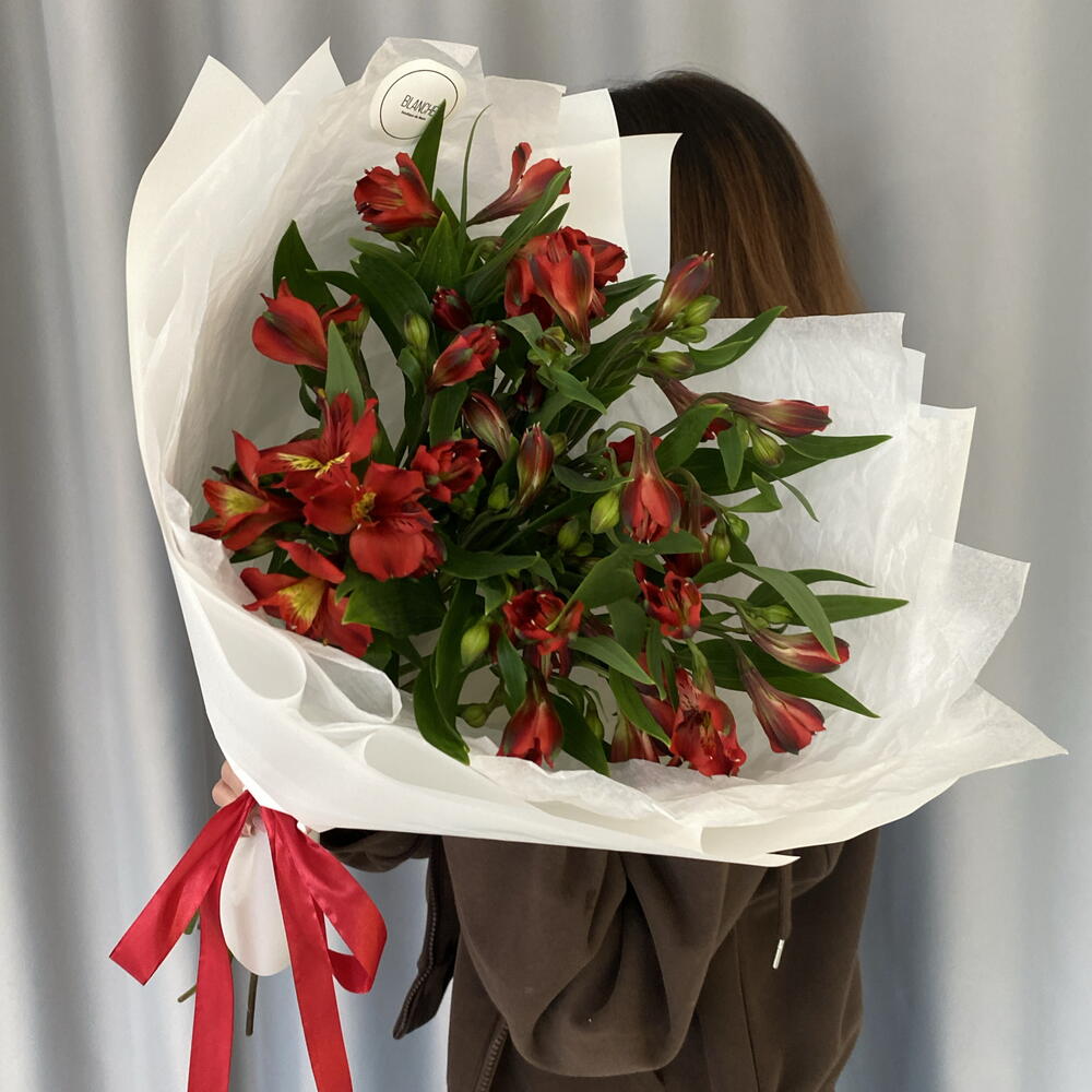 Букет из 9 бордовых альстромерий🍓