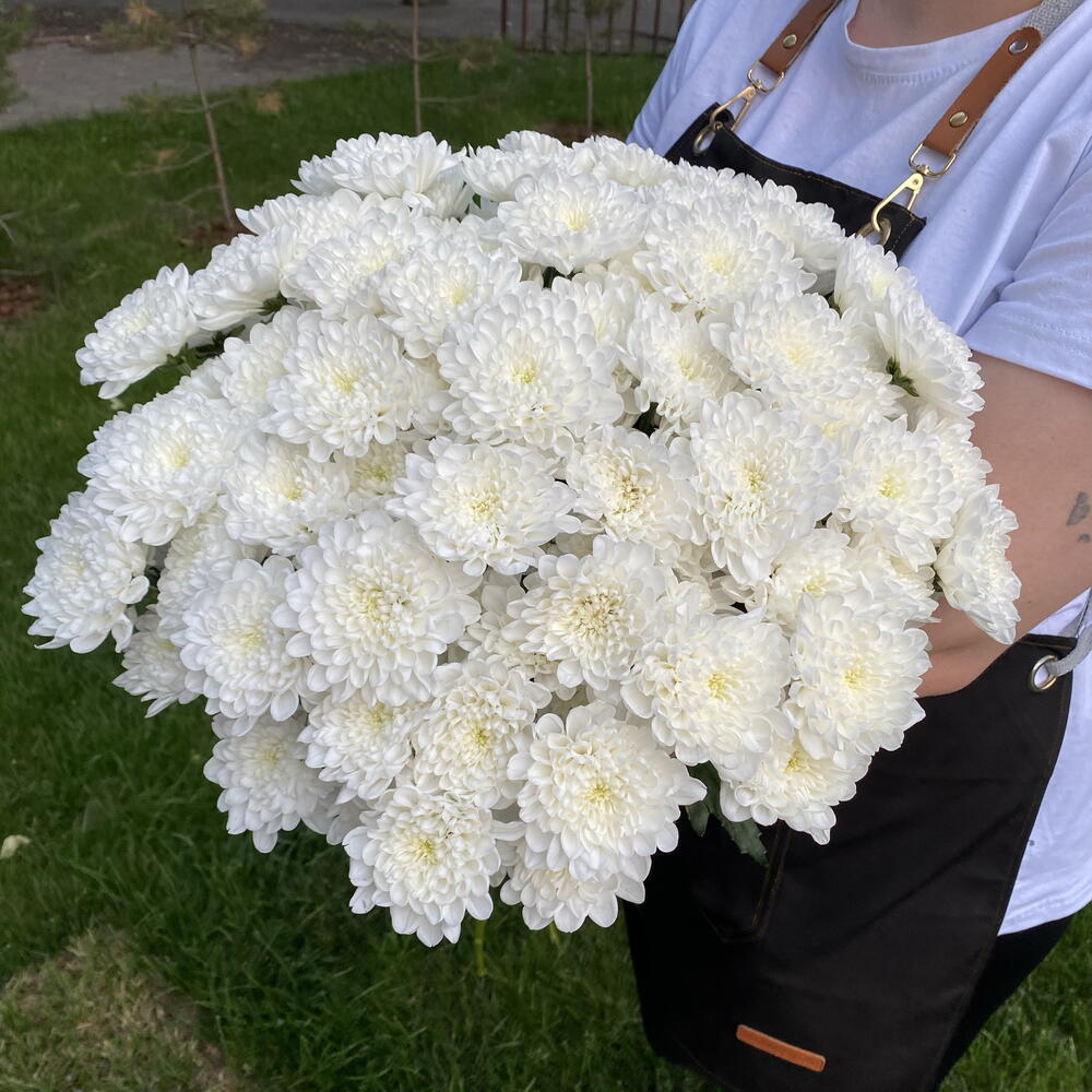 Букет из кустовых хризантем