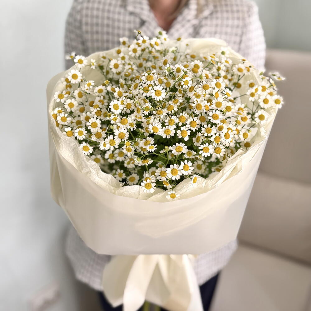 9🤍КУСТОВЫХ РОМАШЕК