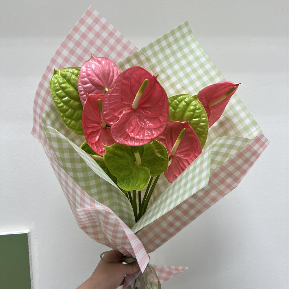 Anthuriums 💚