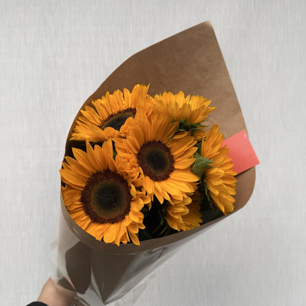 Подсолнух 🌻