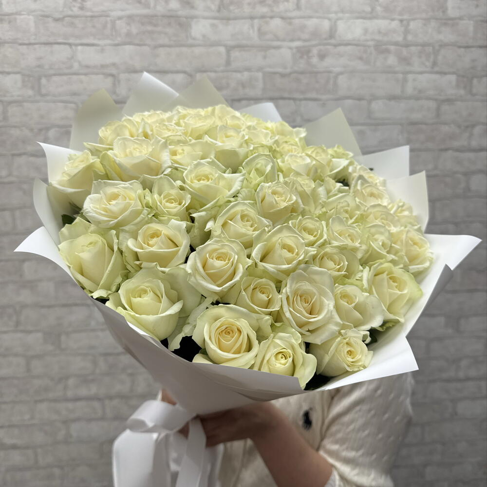 51 белая Роза 🥰