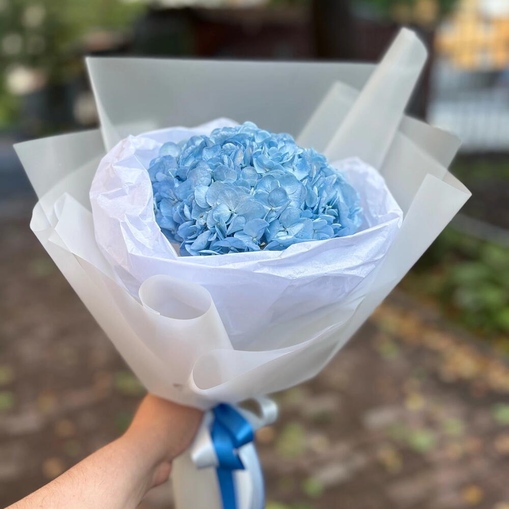 1 гортензия