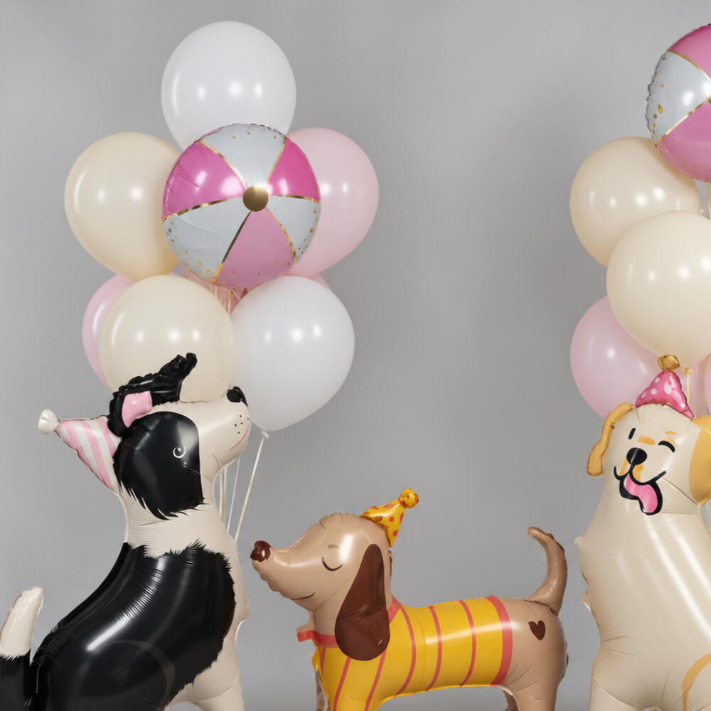 Набор воздушных шаров «Весёлые щенки» 🐶
