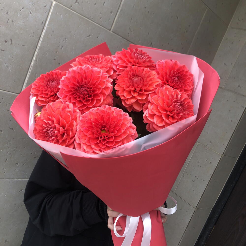 Георгины 🌺🌺🌺🌺🌺