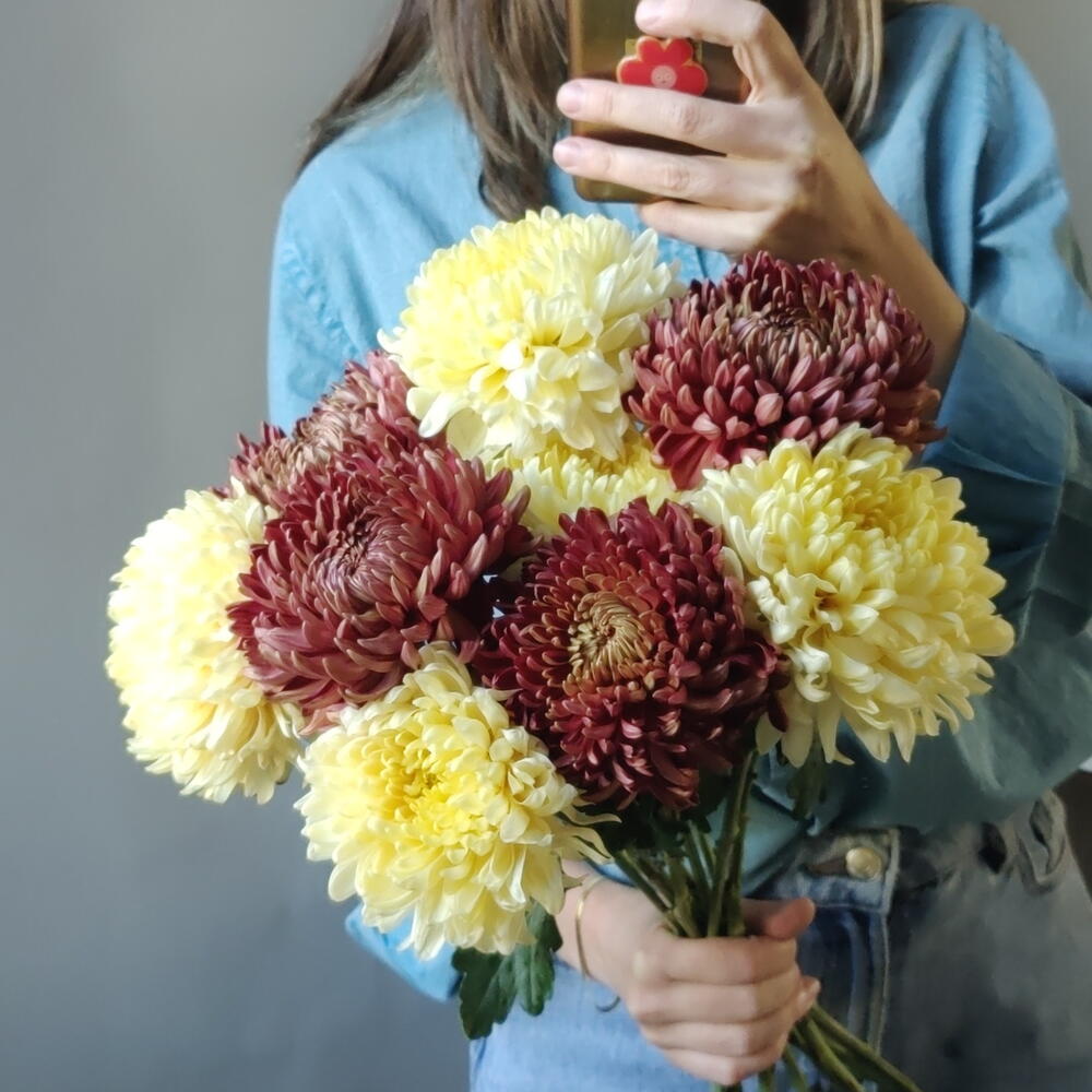 Дуо хризантем 💛