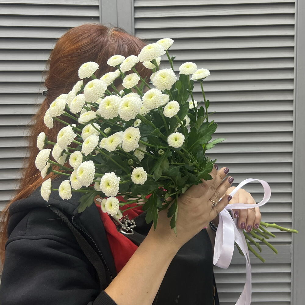 Хризантемы "Сантини" 🥰
