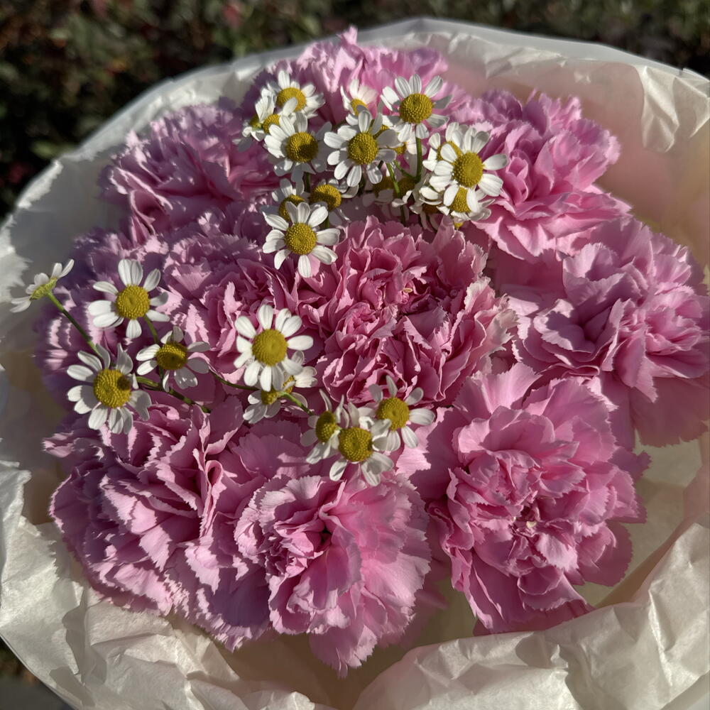 Яркий милый букет 💐 диантус и ромашка