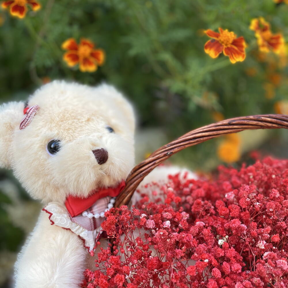 Подарок для нее ️🐻Гипсофила + мишка
