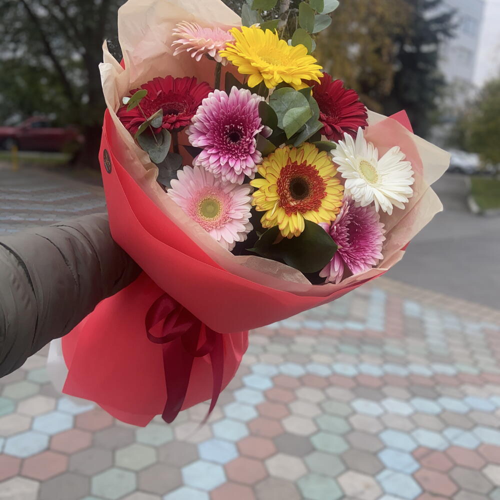 Герберы 9