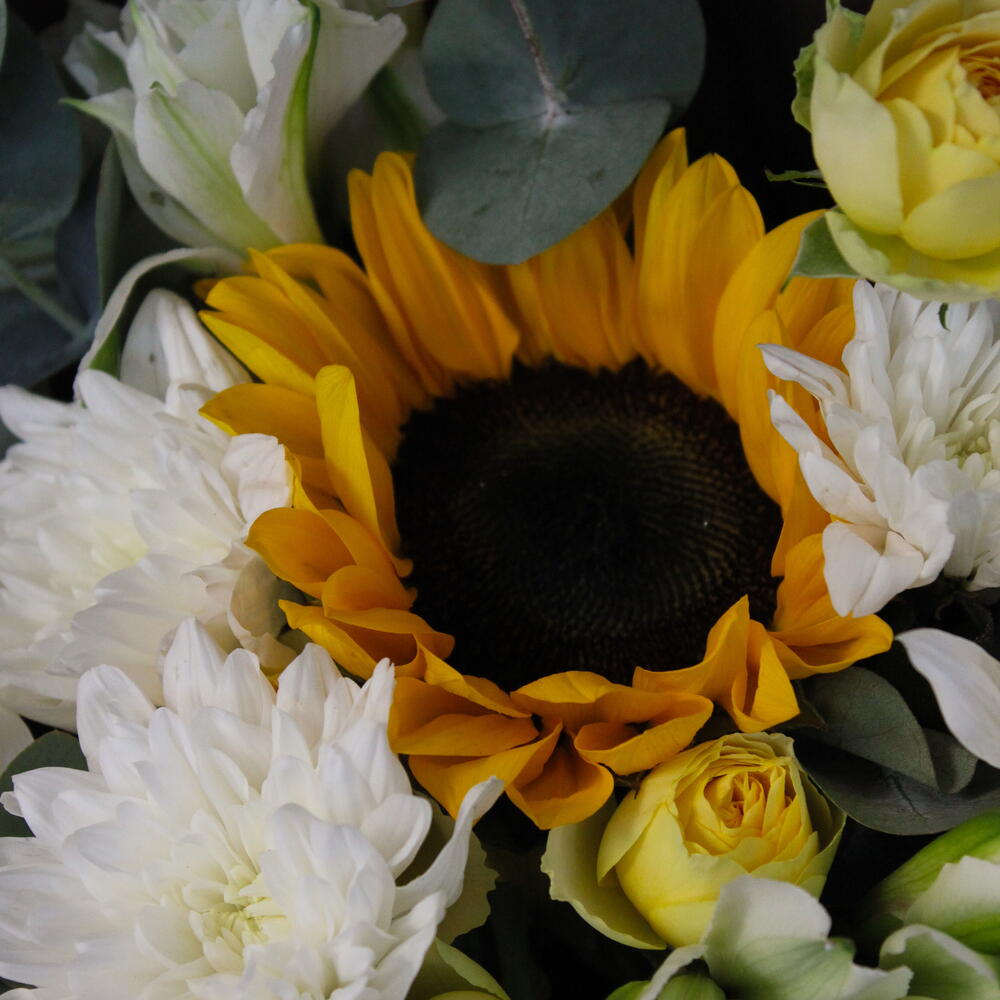 Букет « Daisy»