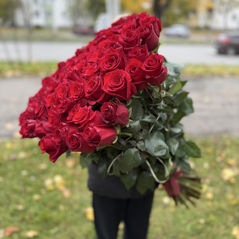Шикарный букет из 101 метровой розы (Эквадор)