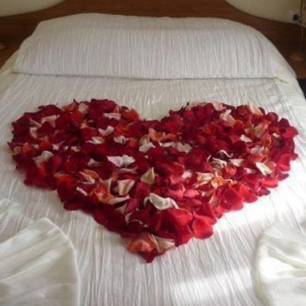 Огромный букет роз на постели