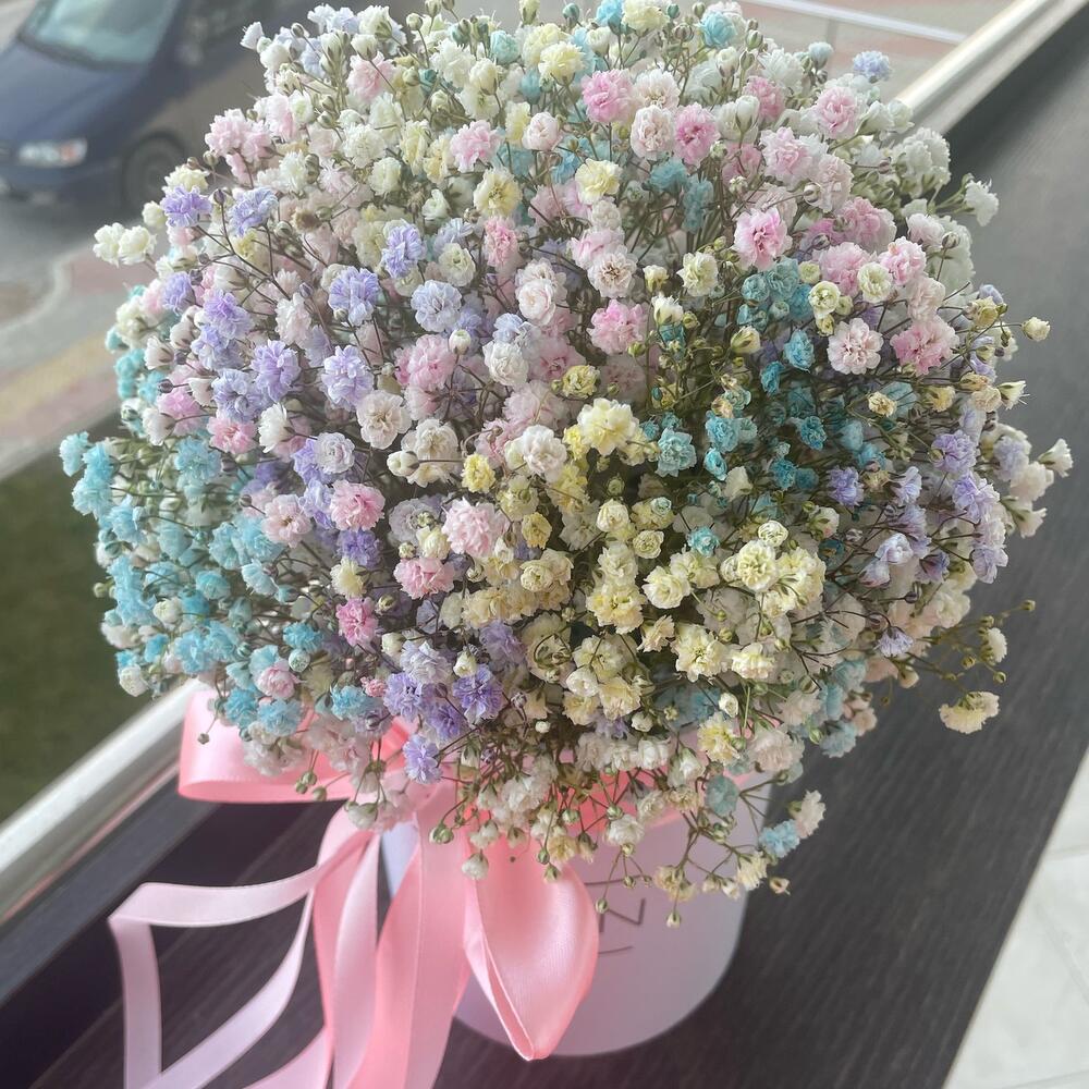 Гипсофила Радуга, Цветы и подарки в Анапе, купить по цене 1700 RUB ...