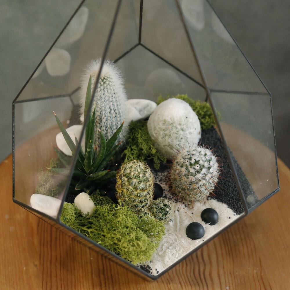 Micro world