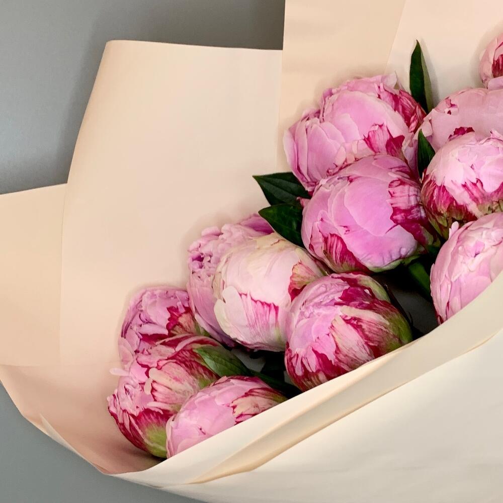 Peonies 13
