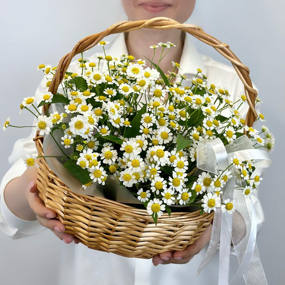 Корзина с ромашками К021