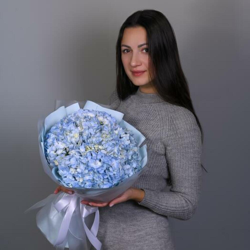 Облако гортнензий L