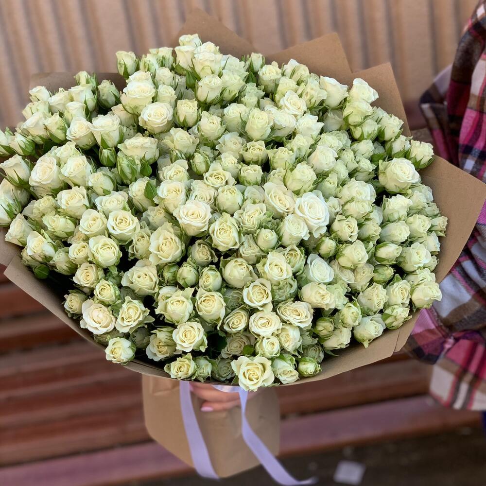 Розы кустовые