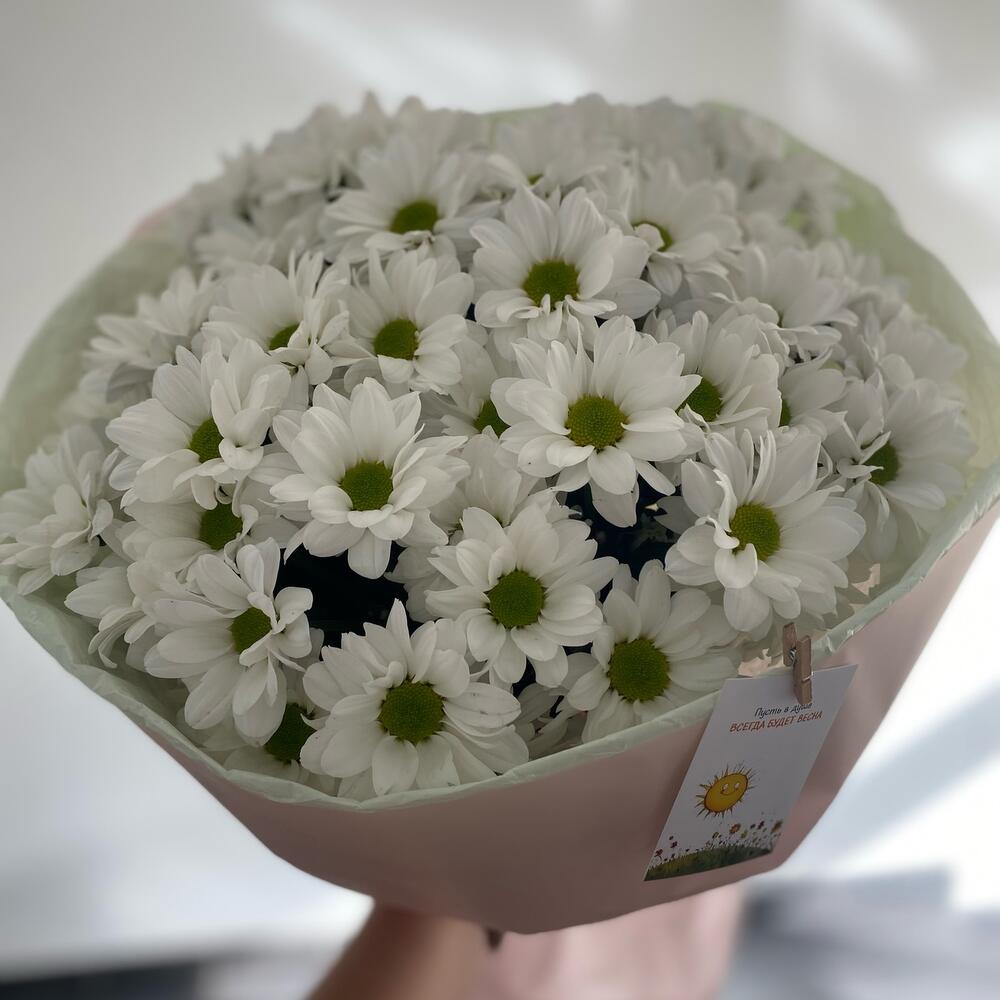 Bouquet " Chamomile "