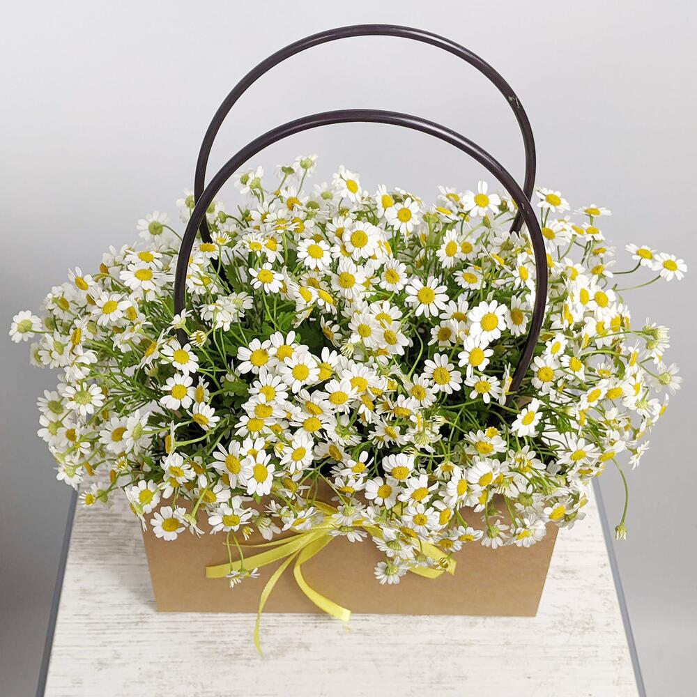 Handbag with Camilla