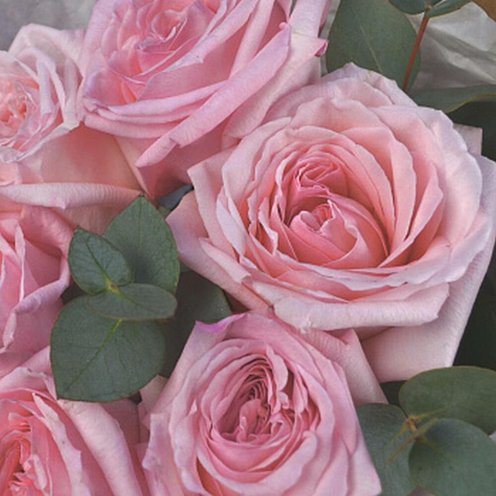 Букет пионовидных роз Pink O Hara и эвкалипта XS