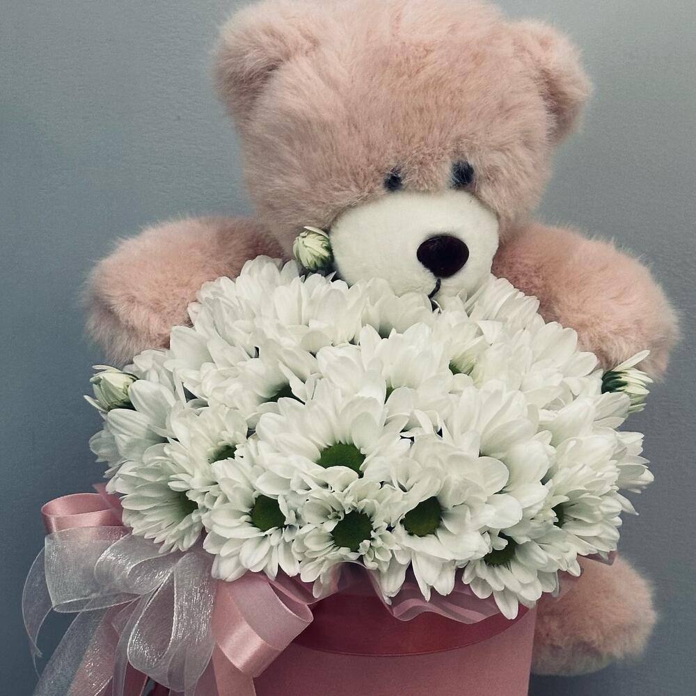Composition of chamomile and teddy bear