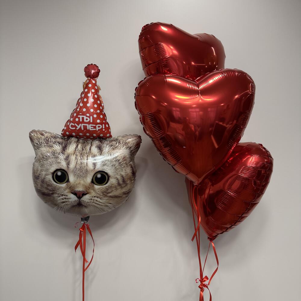 Набор шаров с котом, 4 шара