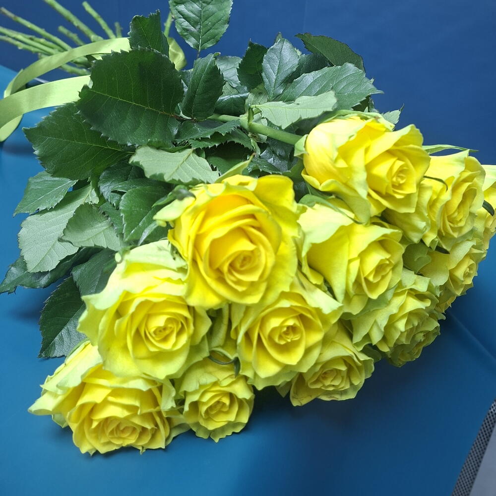 Роза жёлтая