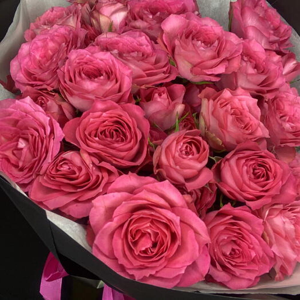 Dark petals | Kenya rose