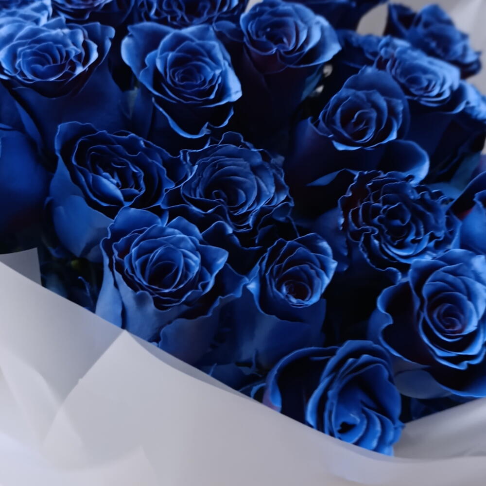 "Lapis Lazuli" букет синих роз 31 шт