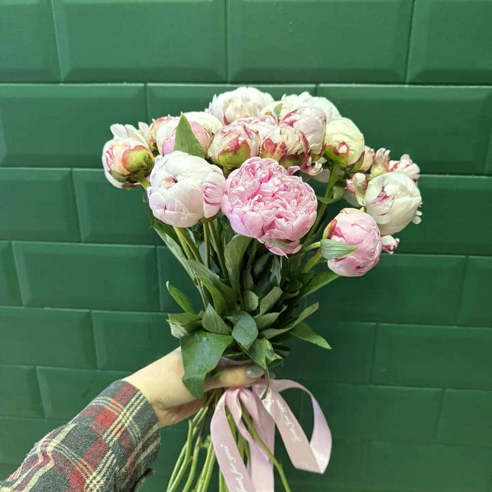 Пионы 💓