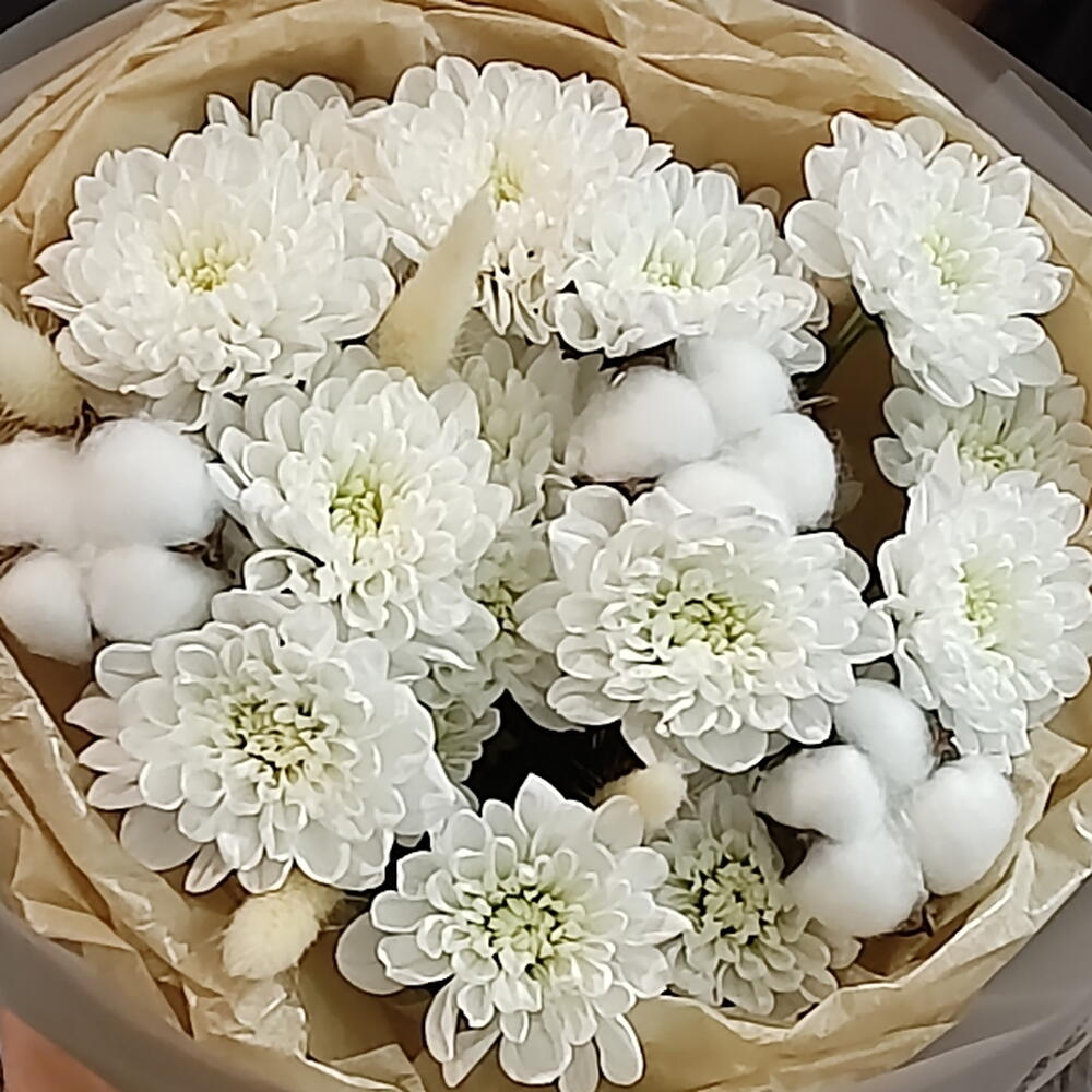 ХРИЗАНТЕМА 🤍БЕЛАЯ 🤍 С ХЛОПКОМ и 🎁 сладкий