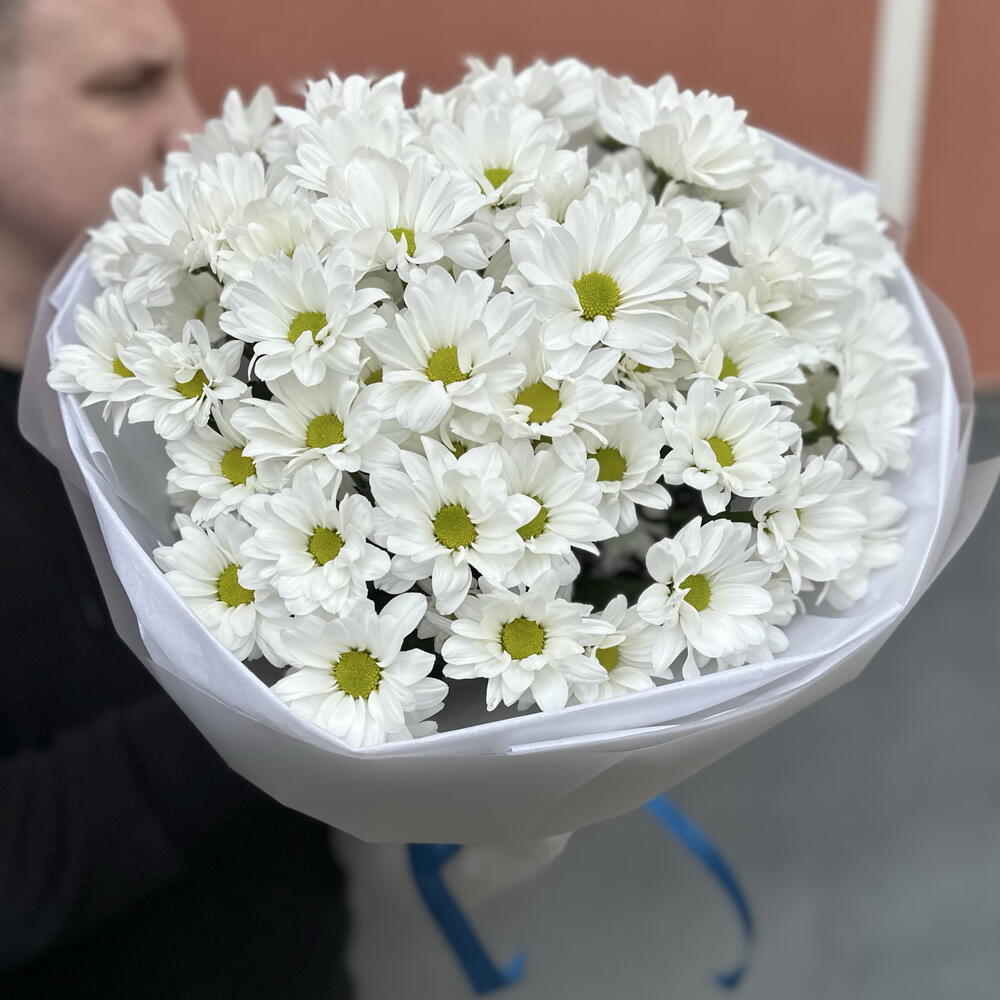 ~ 101 ромашка (9 веточек)