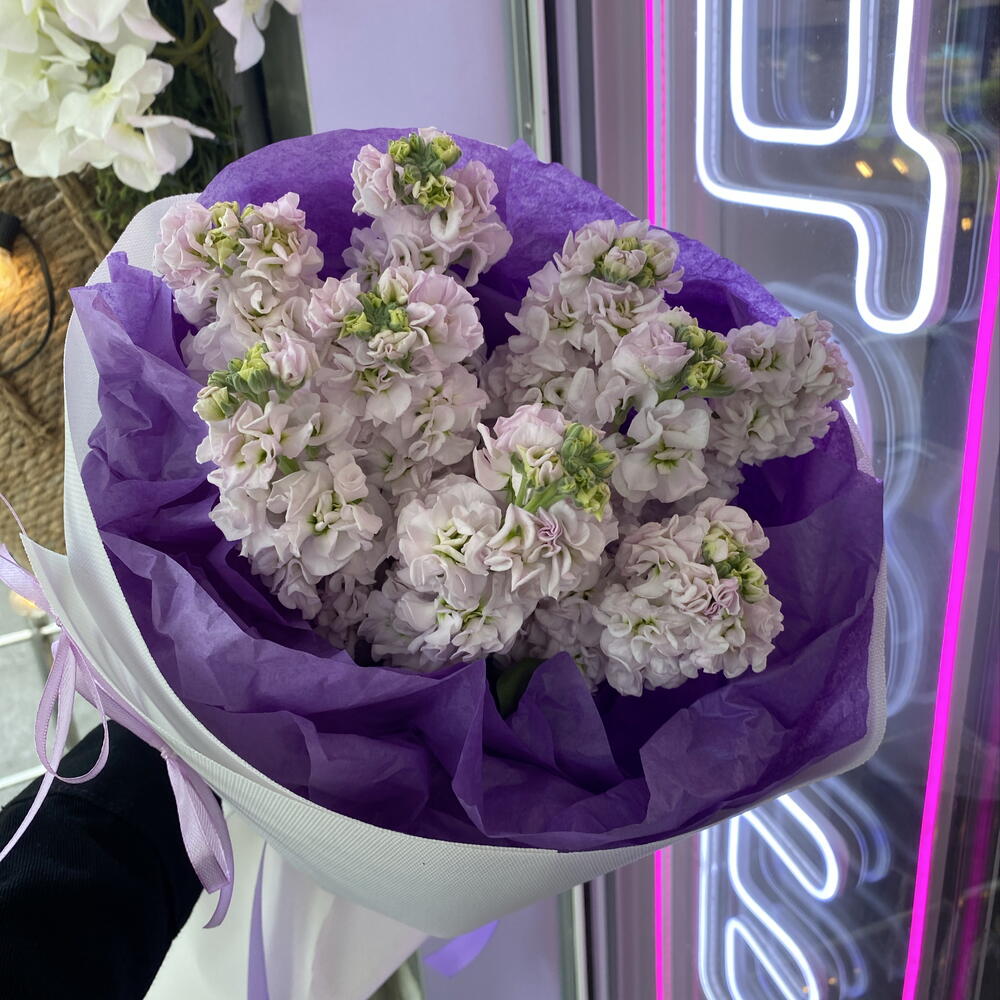 Букет ароматных маттиол 💕