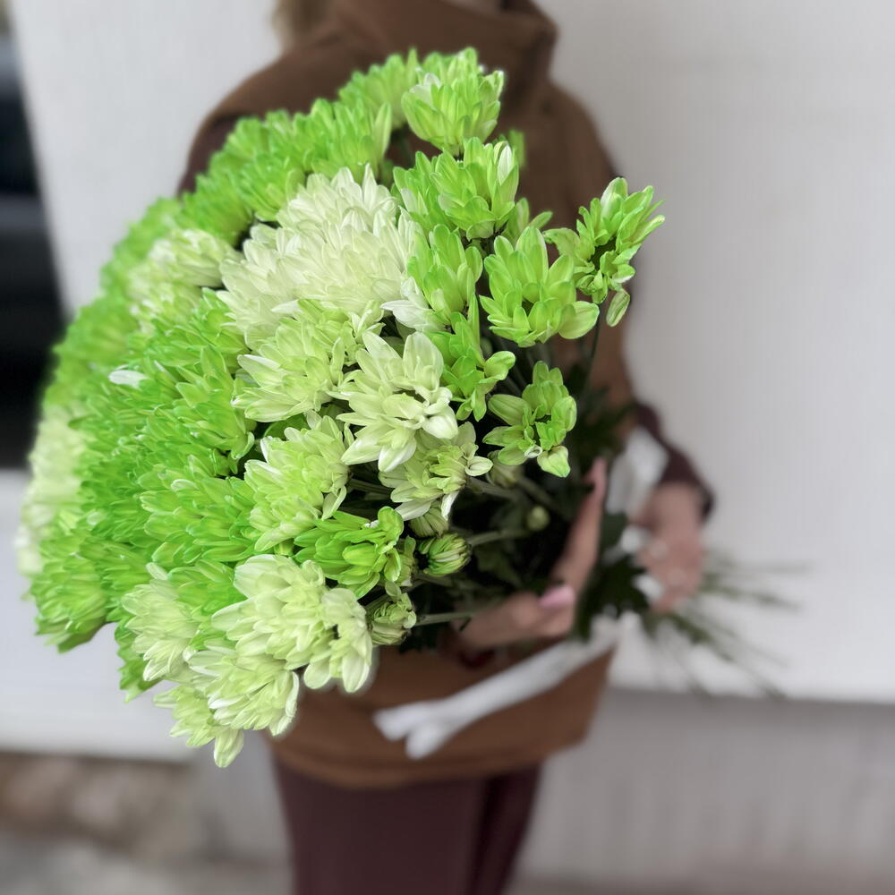 Букет зеленых ромашек