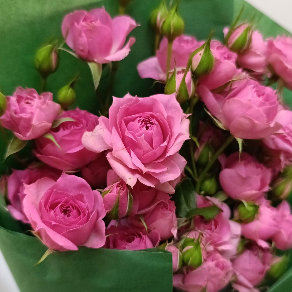 Букет кустовых роз Pink Demensions