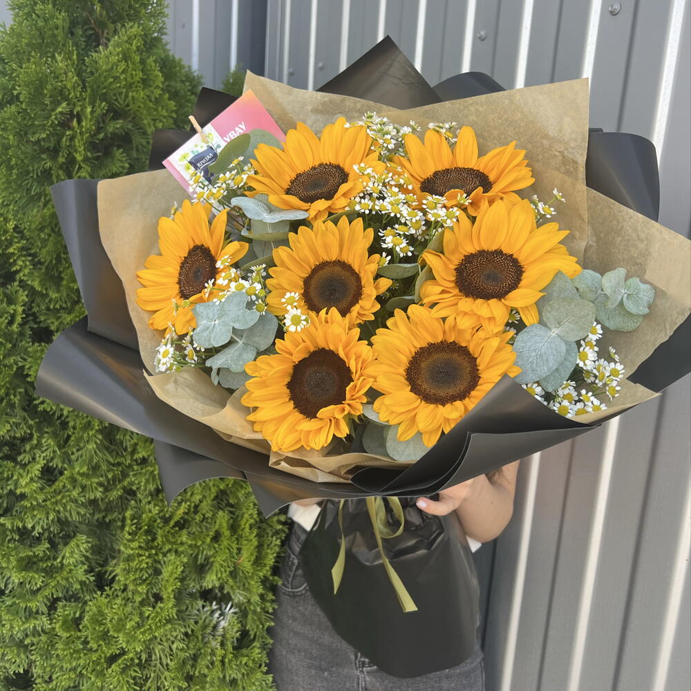 Подсолнух 🌻