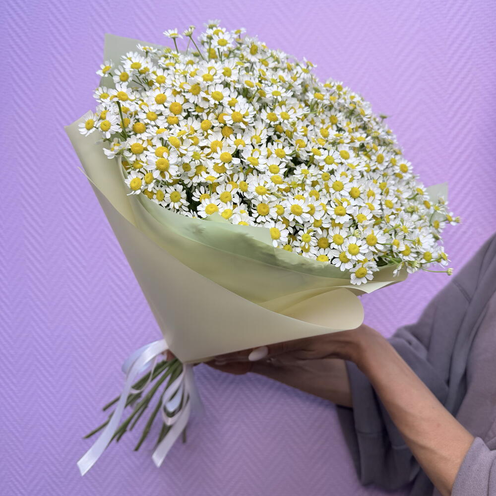 Ромашки кустовые 19 штук. Полевые цветы на День рождение 🤩 для девушки 💓😍