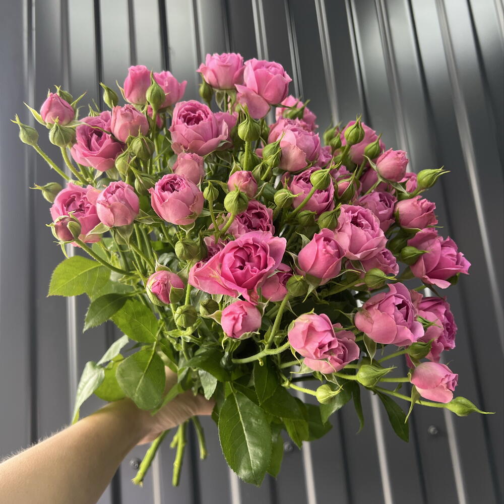 Мисти 🔥💐