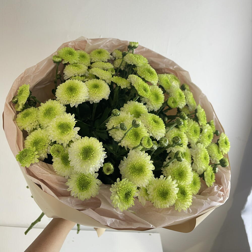 Букет из хризантем 💚