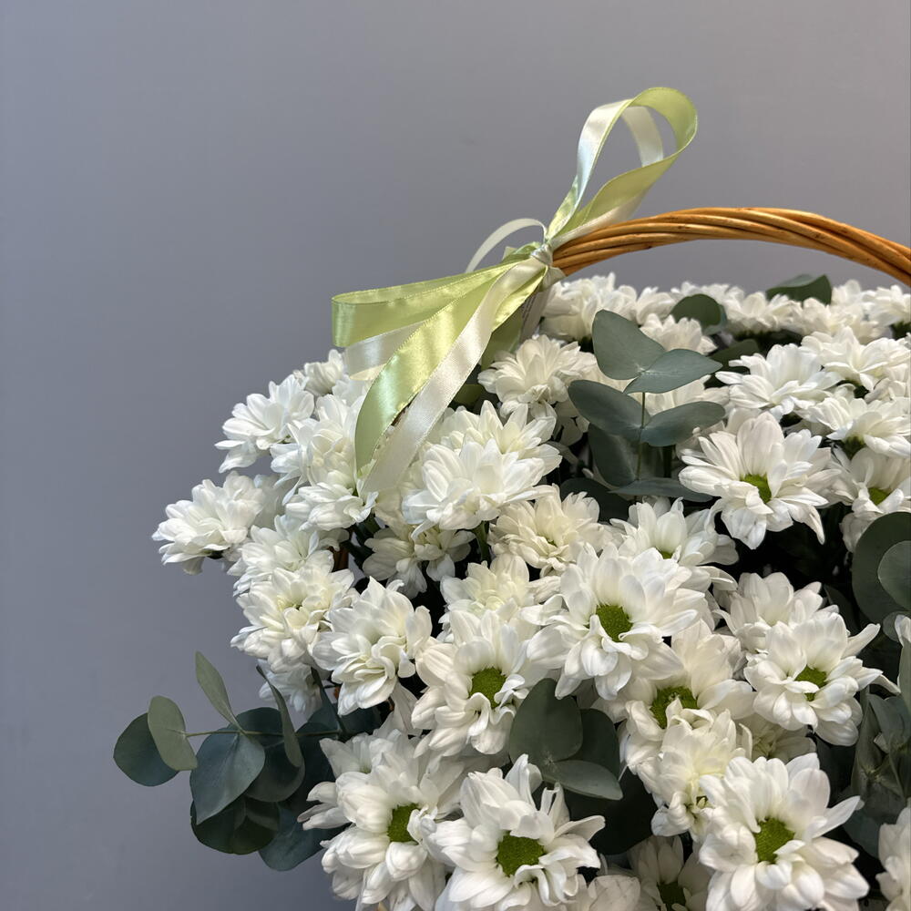 Композиция 12548