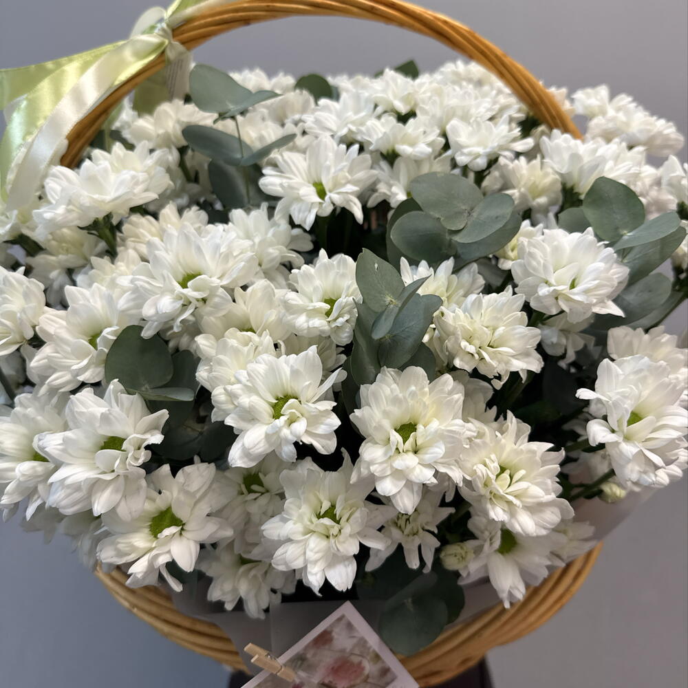 Композиция 12548