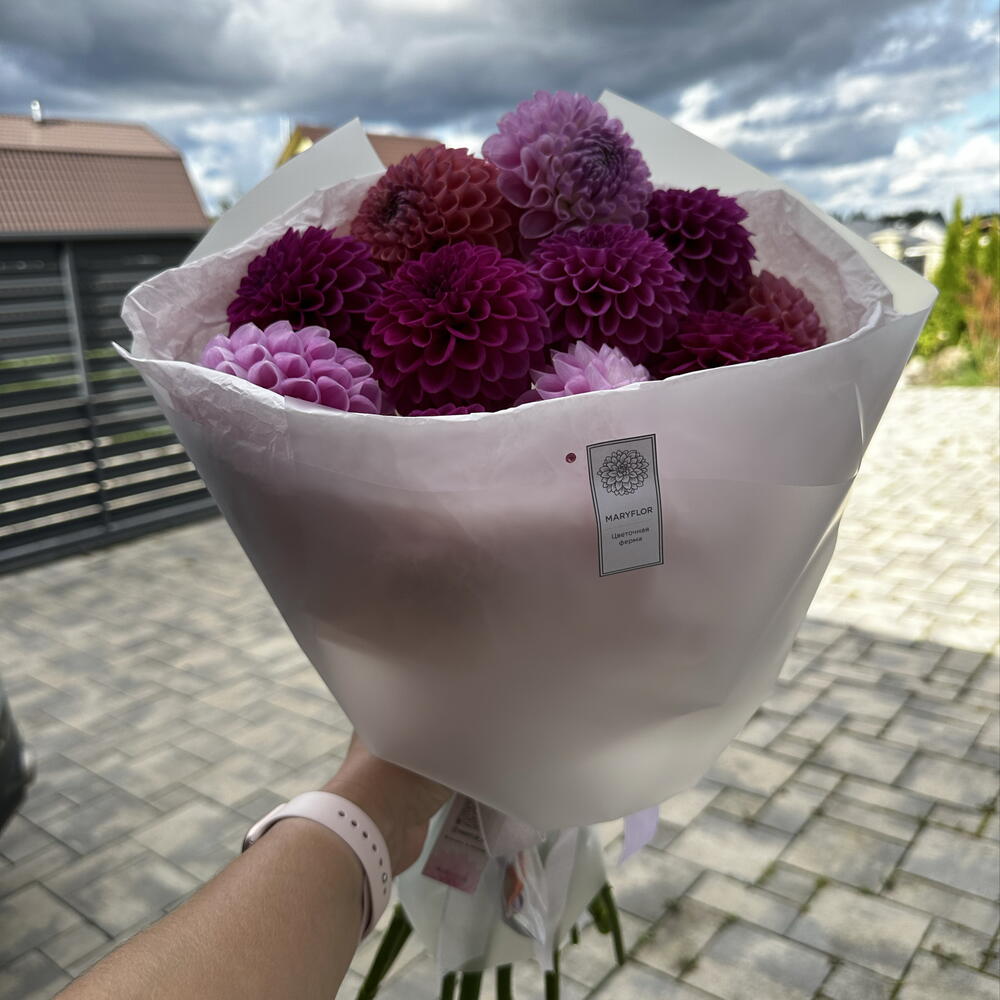 Букет из георгинов (фуксия, лиловый, пурпурный)